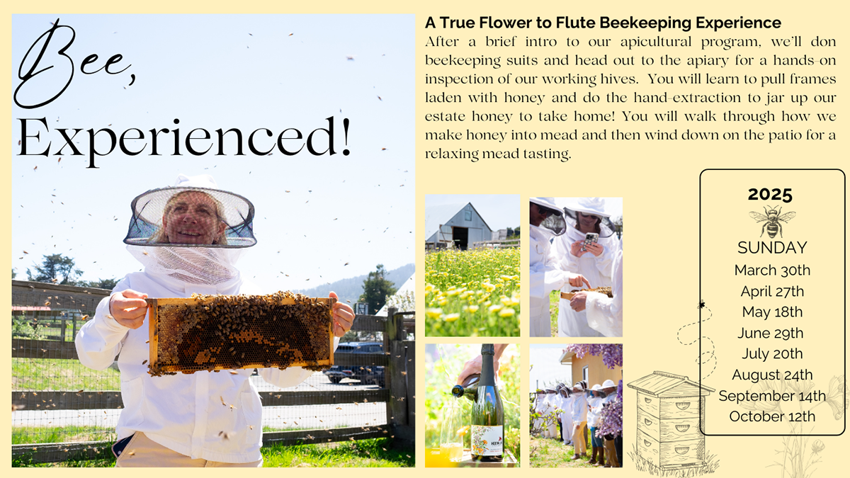 Images from Bee Experience