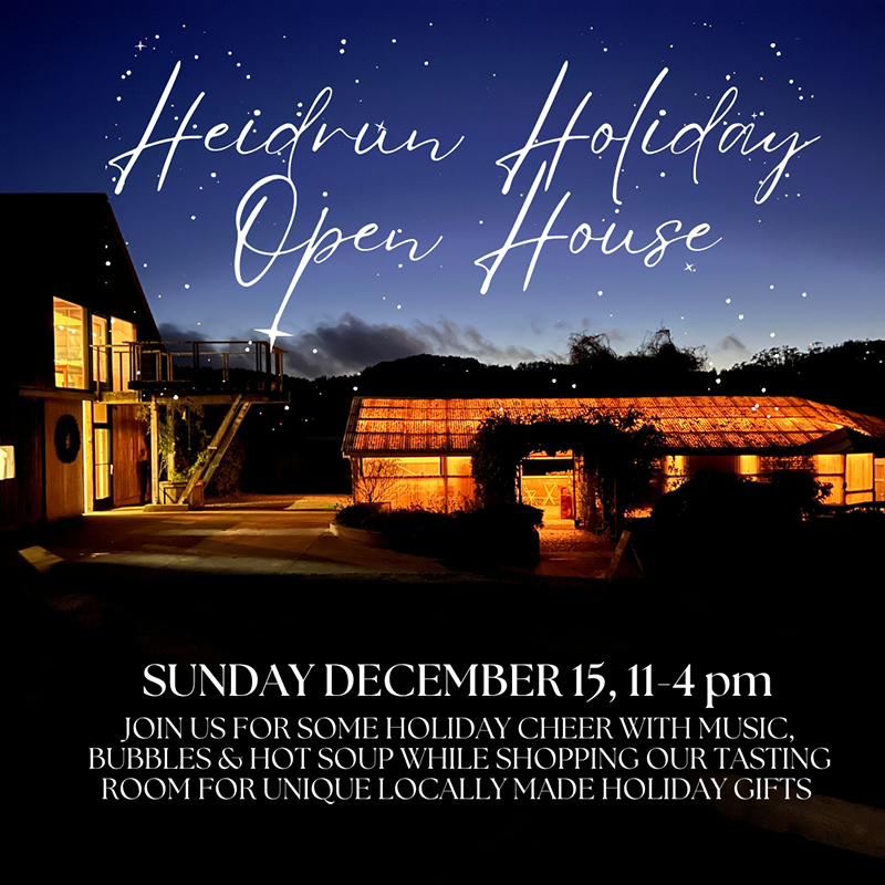 Heidrun Open House Sunday, December 15th